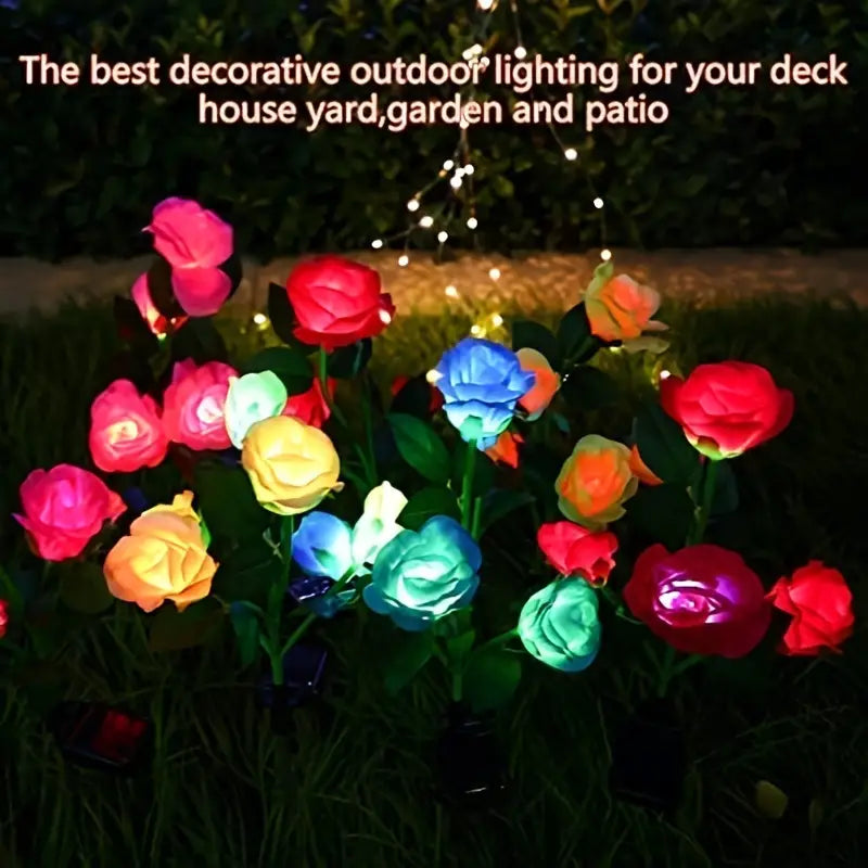 Color-Changing Solar Garden Roses - SLSOK