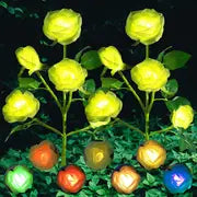 Color-Changing Solar Garden Roses - SLSOK