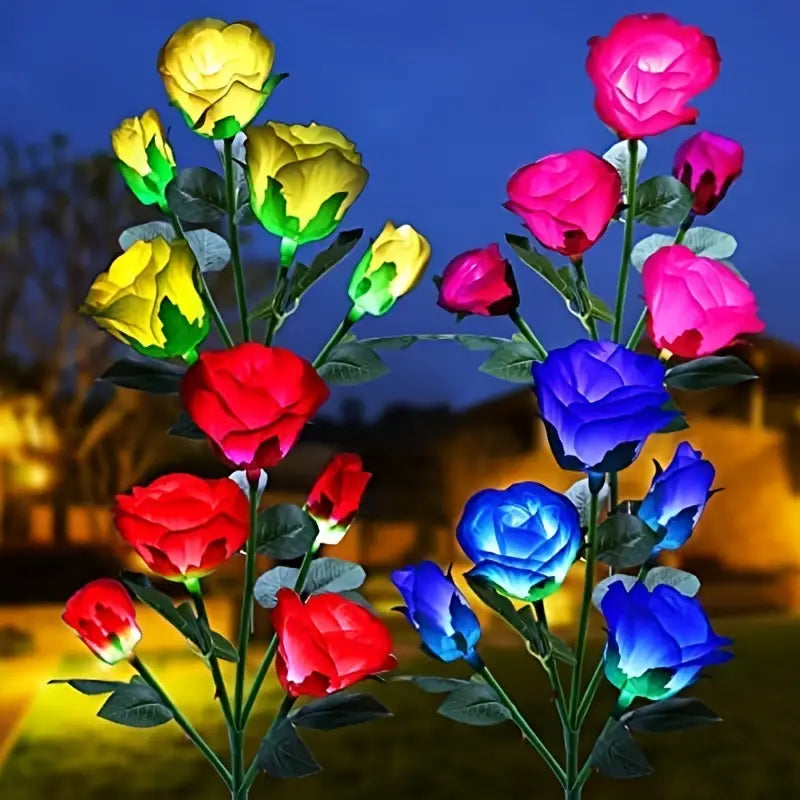 Color-Changing Solar Garden Roses - SLSOK