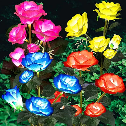 Color-Changing Solar Garden Roses - SLSOK