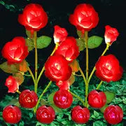 Color-Changing Solar Garden Roses - SLSOK