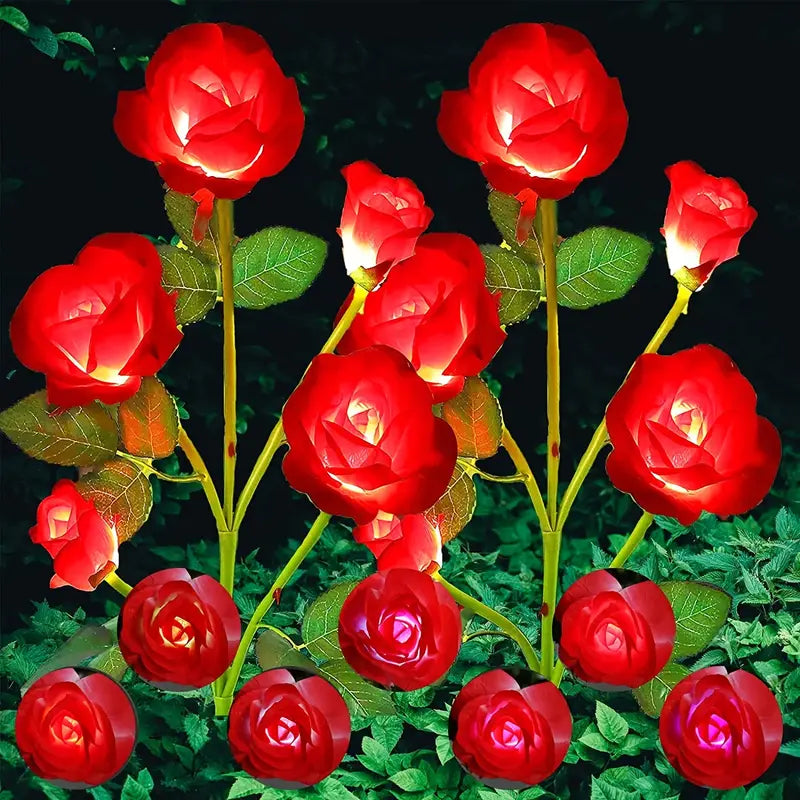 Color-Changing Solar Garden Roses - SLSOK