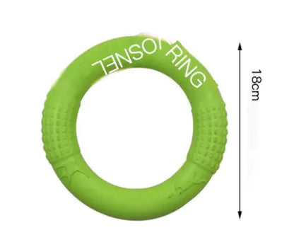 Interactive EVA Training Ring - SLSOK