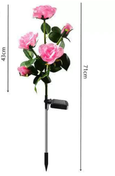 Color-Changing Solar Garden Roses - SLSOK