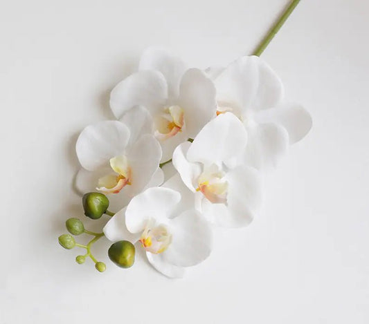 Artificial 6 - Head Phalaenopsis Orchid - SLSOK