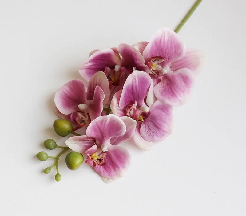 Artificial 6 - Head Phalaenopsis Orchid - SLSOK