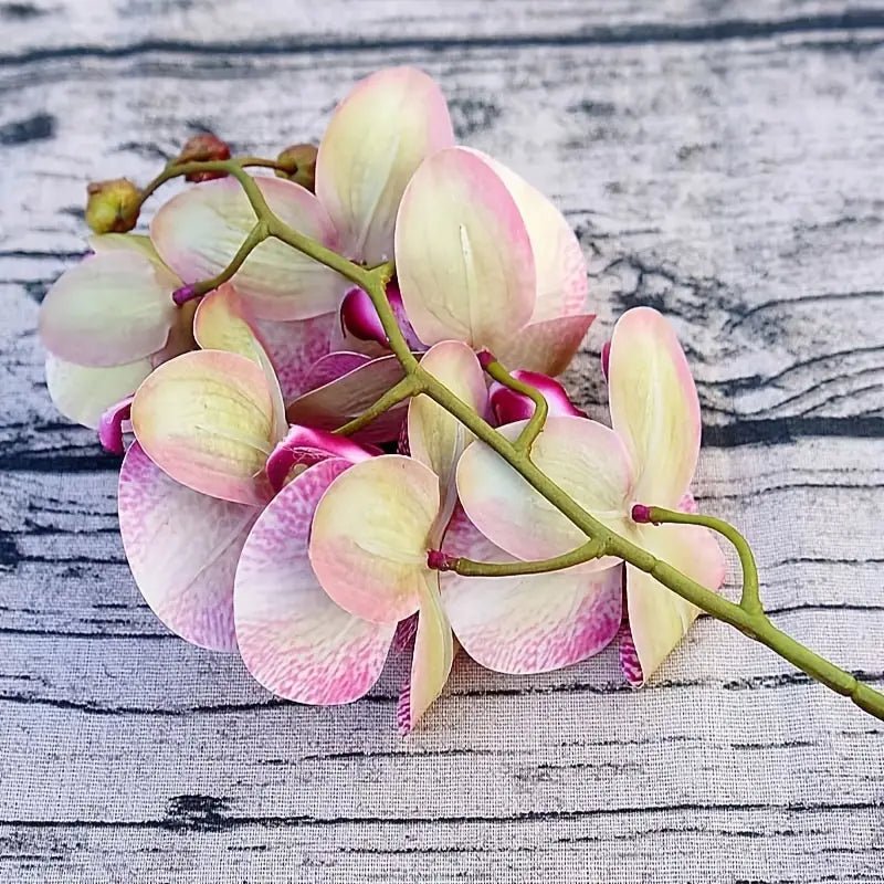 Artificial 6 - Head Phalaenopsis Orchid - SLSOK