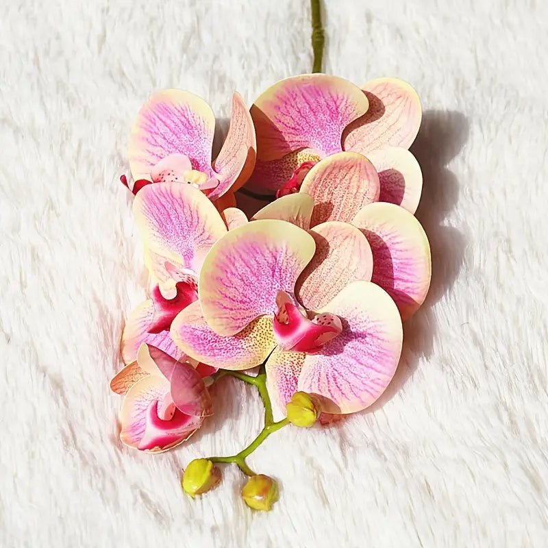 Artificial 6 - Head Phalaenopsis Orchid - SLSOK