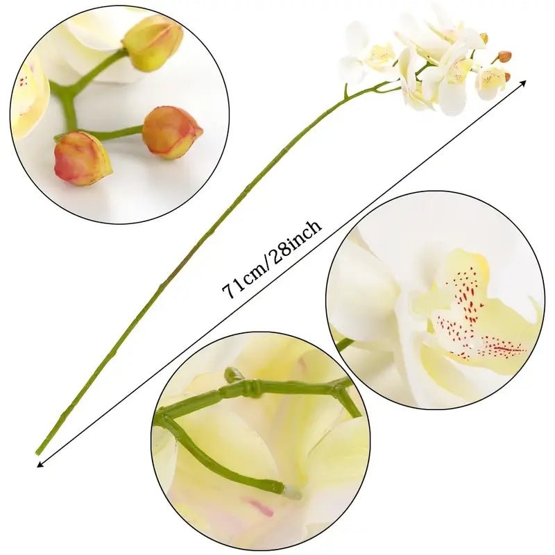 Artificial 6 - Head Phalaenopsis Orchid - SLSOK