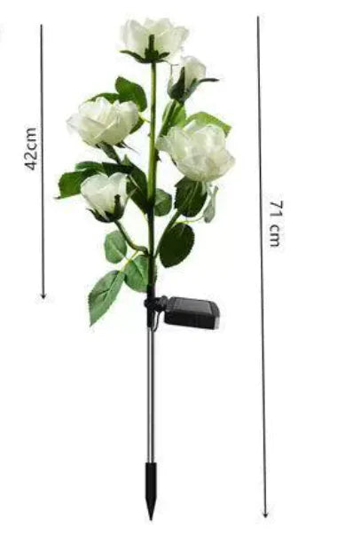 Color-Changing Solar Garden Roses - SLSOK