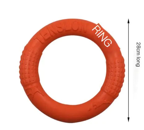 Interactive EVA Training Ring - SLSOK