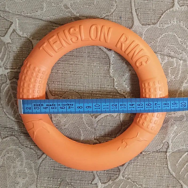 Interactive EVA Training Ring - SLSOK