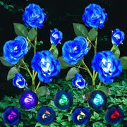 Color-Changing Solar Garden Roses - SLSOK